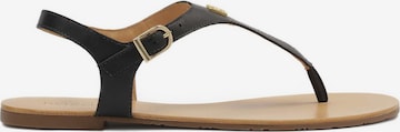 Kazar T-bar sandals in Black