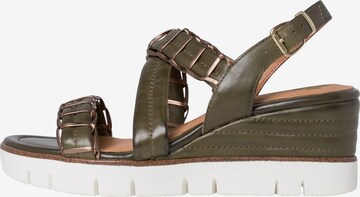 MARCO TOZZI by GUIDO MARIA KRETSCHMER Strap Sandals in Green