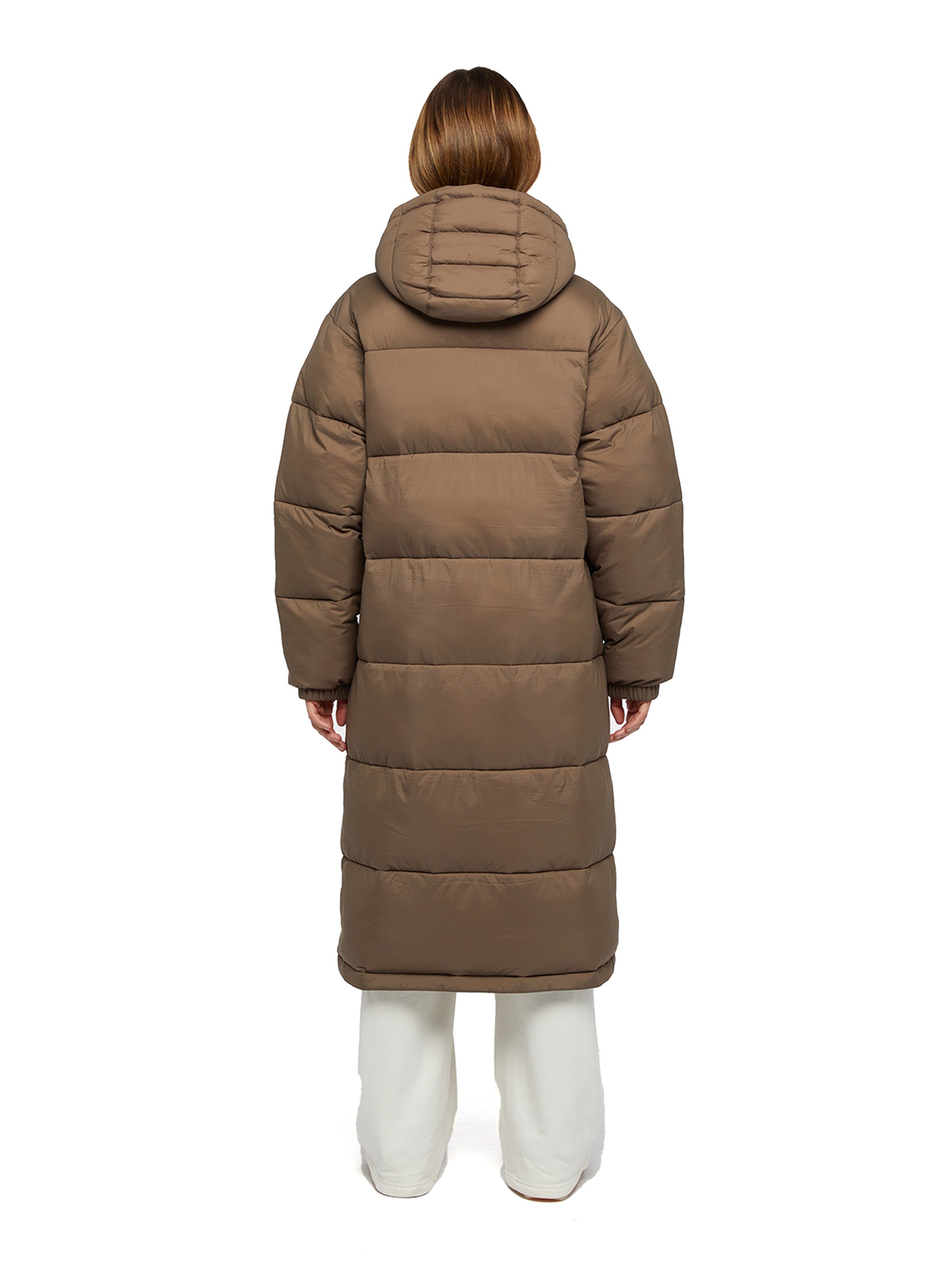 DICKIES Zimski plašč 'ALATNA ' | rjava barva