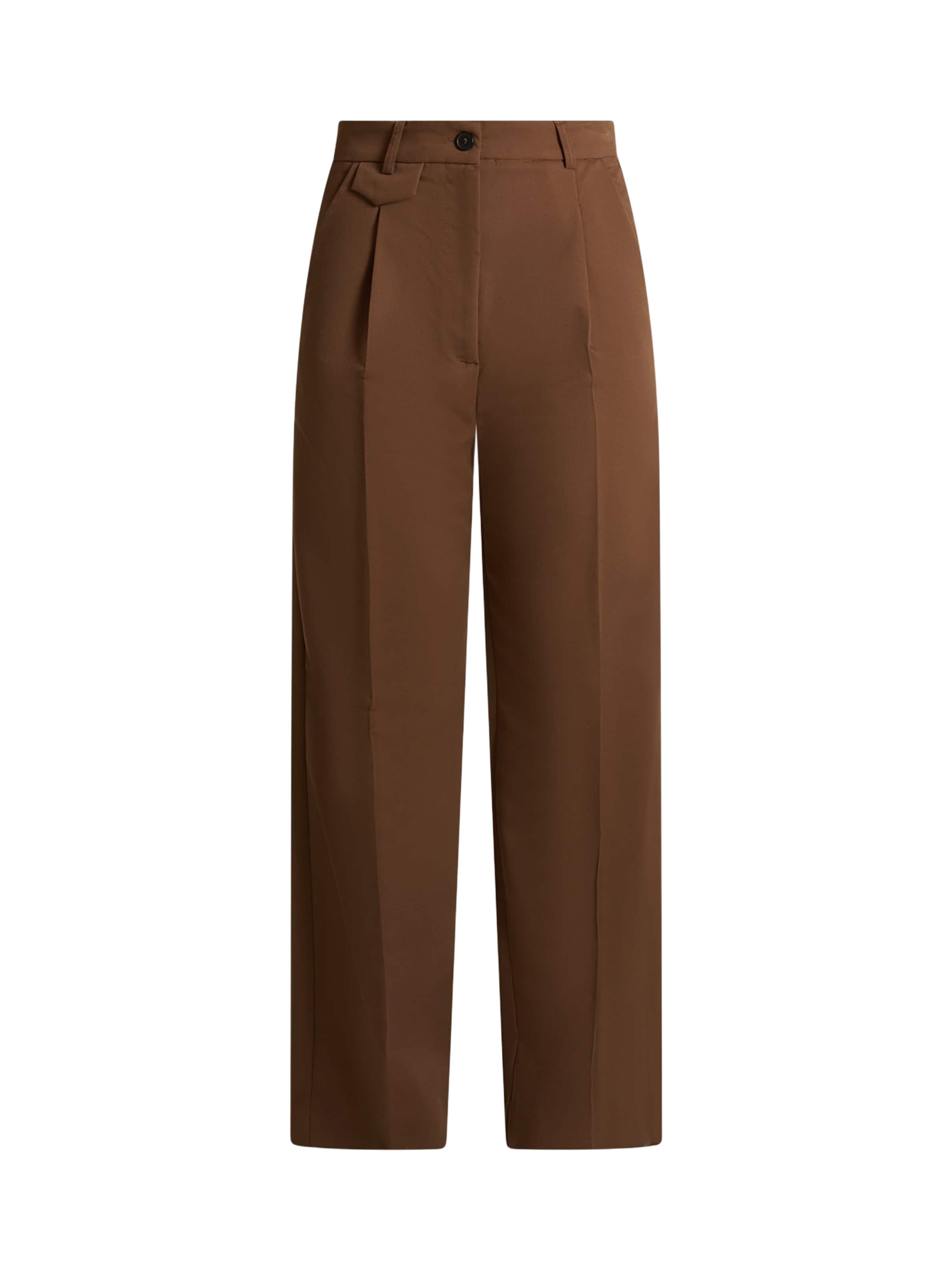ViCOLO Loose fit Pleated Pants in Brown: front