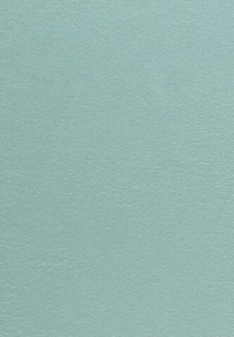 FRAAS Scarf in Green