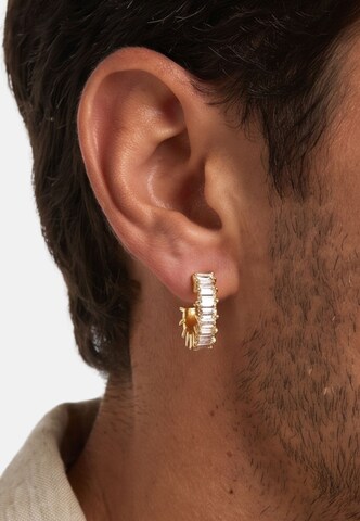 Boucles d'oreilles 'Pelle' Heideman en or