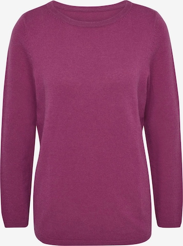 Pull-over Goldner en violet : devant