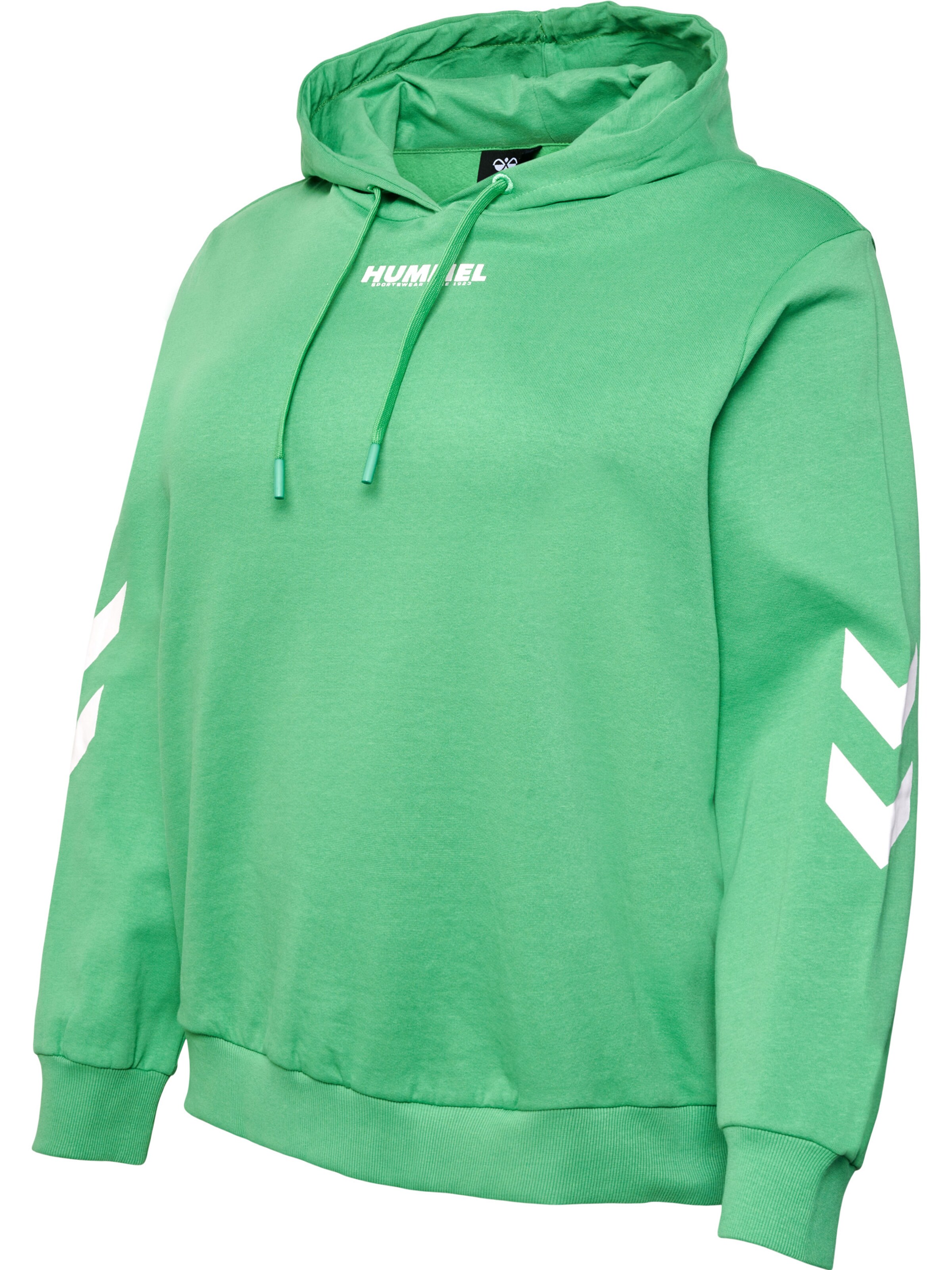 Hummel Sweatshirt in Groen