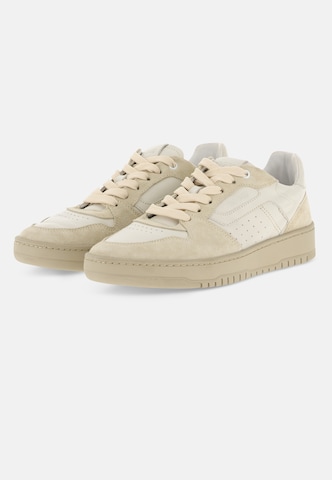 Baskets basses Boggi Milano en blanc