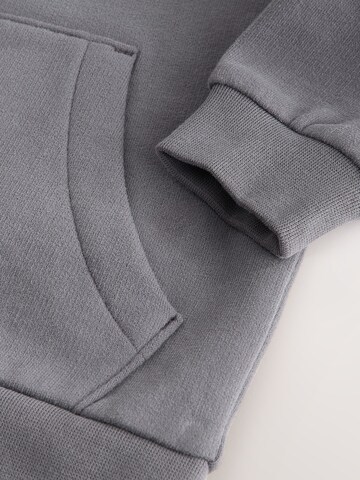 Baker by Ted Baker Кофта на молнии в Серый