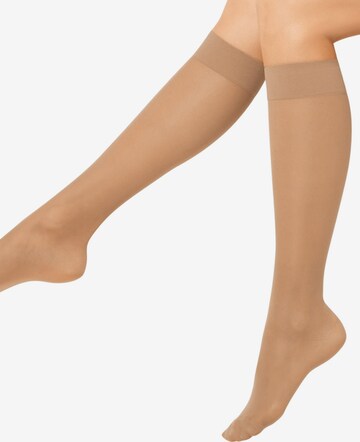 Nur Die Knee High Socks ' Fit in Form 40 DEN ' in Bronze: front