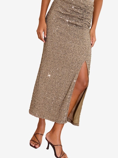 Friends Like These Skirt in Cappuccino, Item view