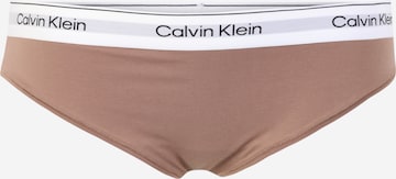 Slip di Calvin Klein Underwear Plus in beige: frontale