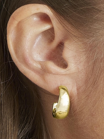 Luxenter Earrings 'Mrango' in Gold