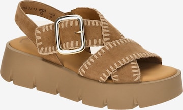 Sandalo con cinturino di GABOR in marrone: frontale