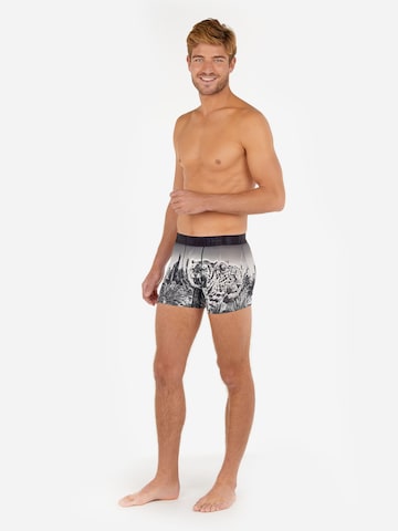 HOM Boxer shorts 'Urban Jungle' in Grey