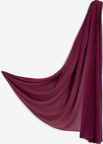 MayTree - Chal en rojo: frente