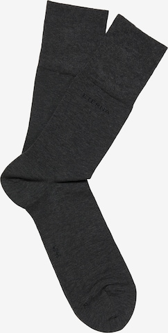 ETERNA Socken in Grau