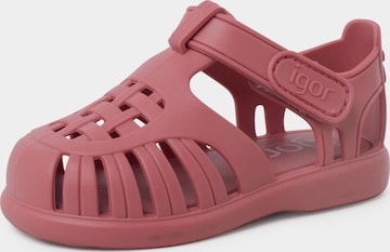 IGOR Beach & swim shoe in Pink: front