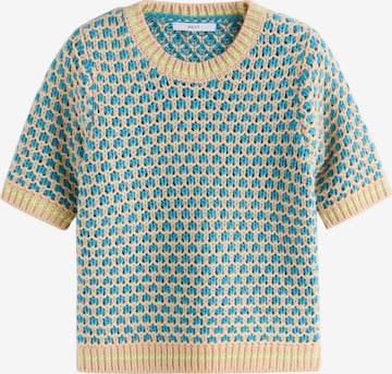 mėlyna Next Megztinis: priekis