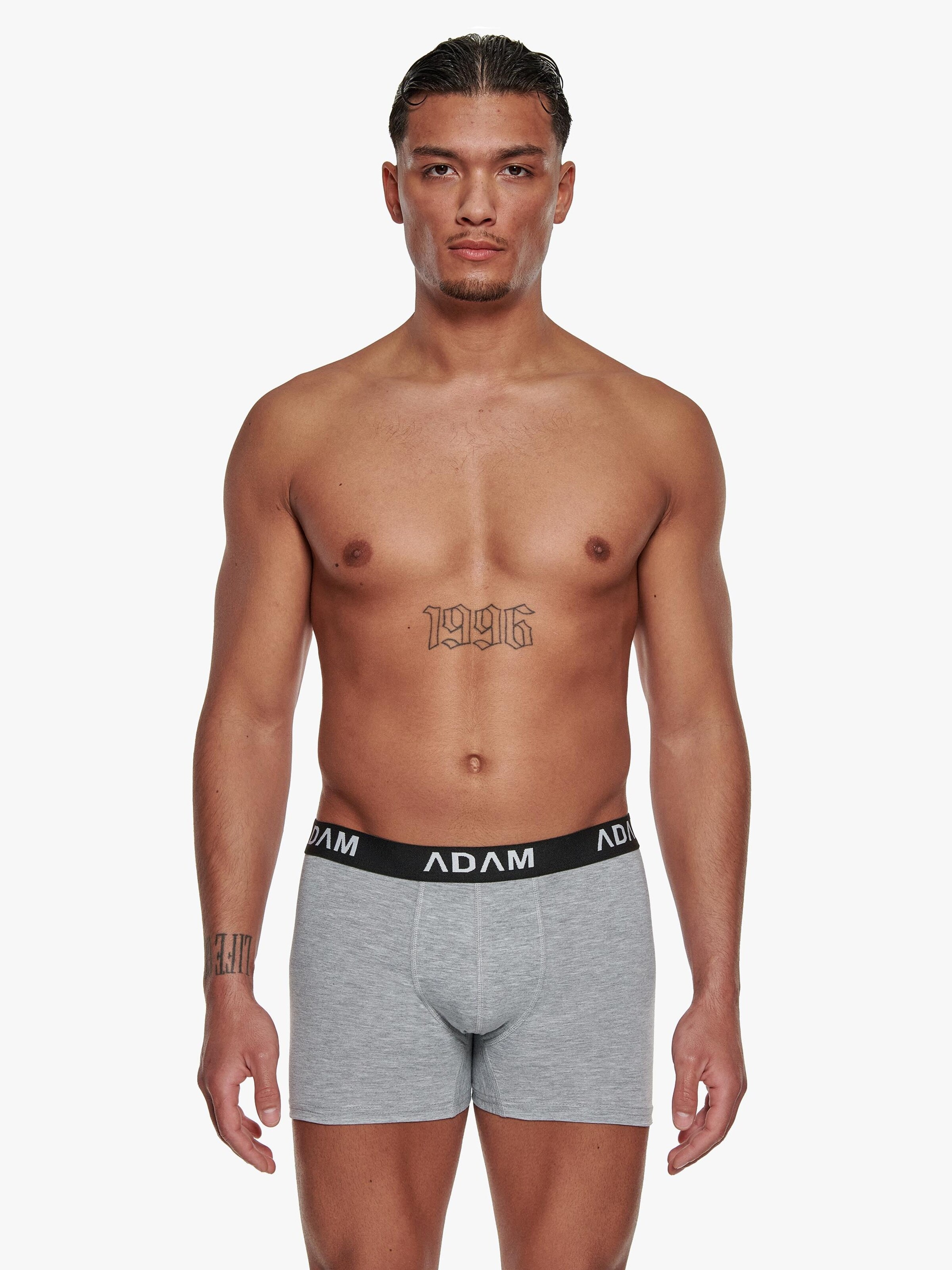 Adam Boxershorts '3er Pack'‌‌‌‌‌‌‌‌‌‌ in Grau: Vorderseite