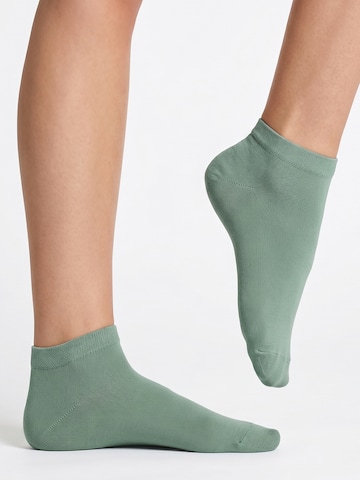 footstar Socks 'EVERYDAY!' in Green