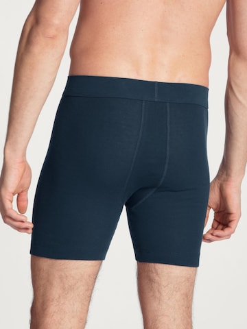 CALIDA Boxershorts 'Cotton 1:1' in Zwart