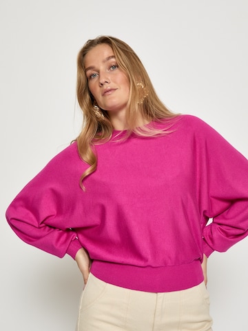 Haut 'Dana ' minus en rose