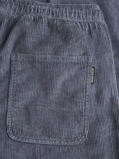 JACK & JONES Pantalon 'JPSTKANE' en 29-30 en gris, Vue avec produit