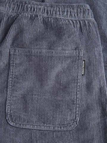 pilka JACK & JONES Standartinis Kelnės 'JPSTKANE'