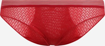 PASSIONATA Panty in Red: front