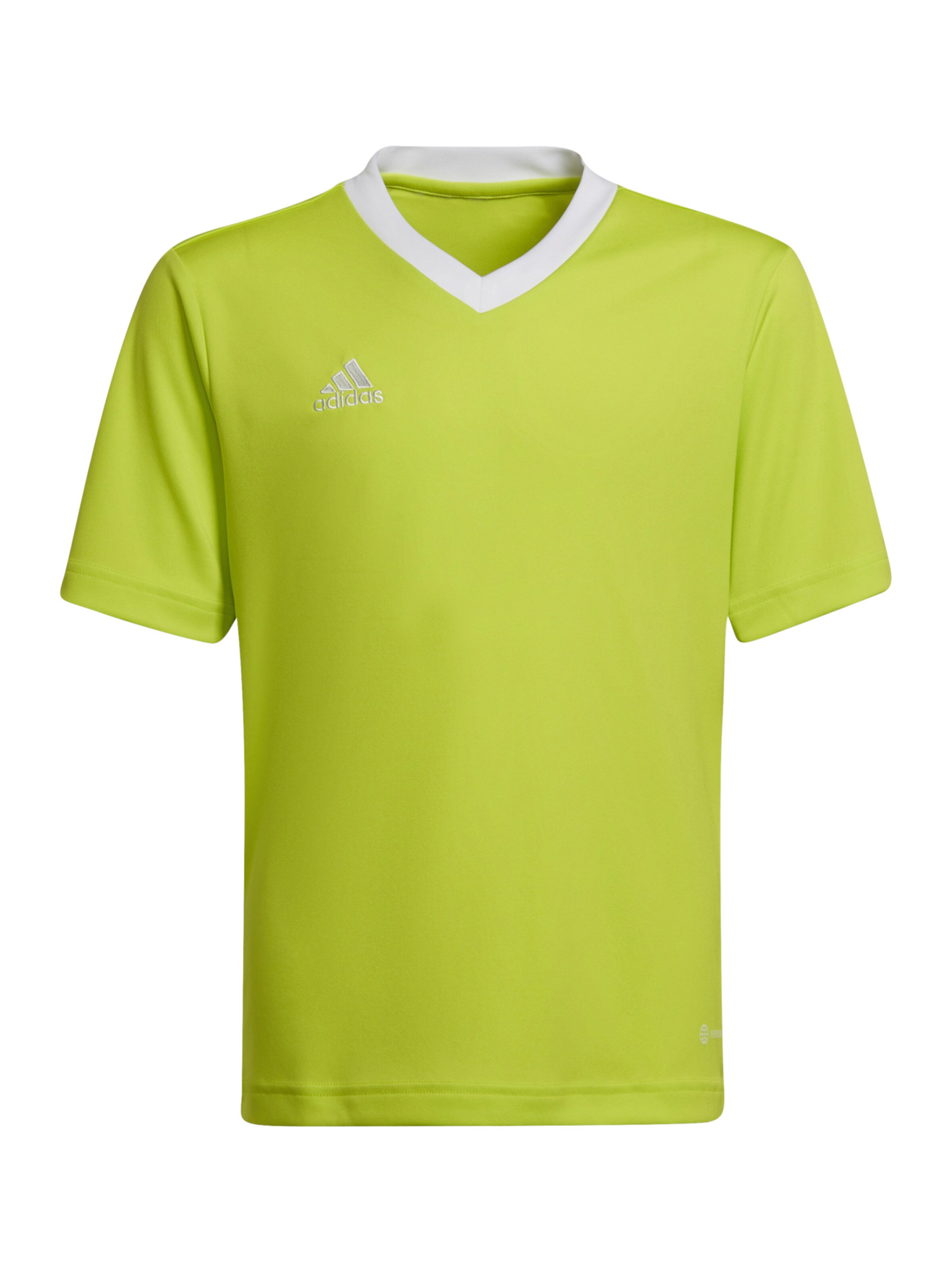 ADIDAS PERFORMANCE Functioneel shirt 'Entrada 22' in Groen: voorkant