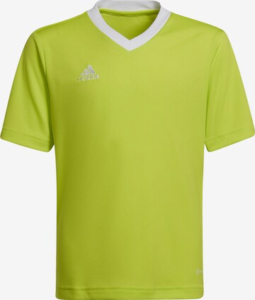 T-Shirt fonctionnel 'Entrada 22' ADIDAS PERFORMANCE en vert : devant