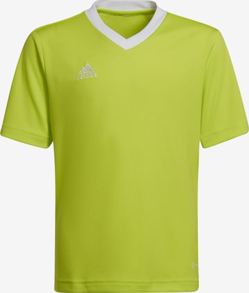 ADIDAS PERFORMANCE Sportshirt 'Entrada 22' in Grün: predná strana