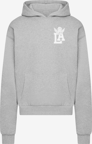 Mister Tee Mikina 'LA Wings' – šedá: přední strana