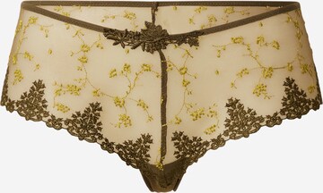 PASSIONATA - Panti 'White Nights' en verde: frente