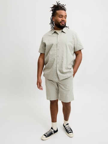 regular Pantaloni di JACK & JONES in verde