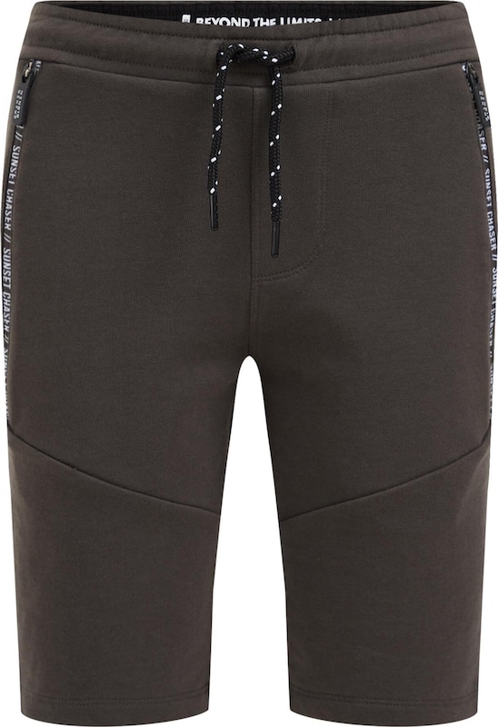 WE Fashion Slimfit Shorts in Dunkelgrau WE Fashion Slimfit Shorts in Dunkelgrau