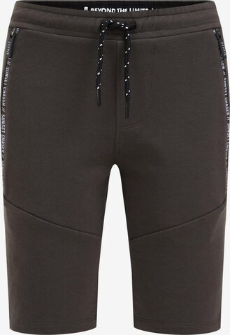 Slimfit Pantaloni di WE Fashion in grigio: frontale