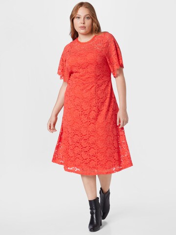 oranžinė Dorothy Perkins Curve Suknelė: priekis