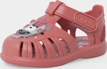 Claquettes / Tongs IGOR en rose : devant