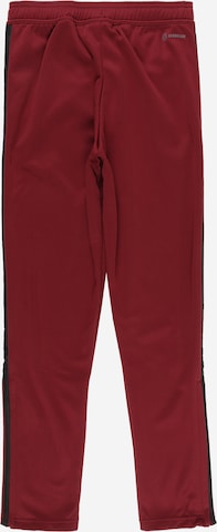 ADIDAS SPORTSWEAR Regular Workout Pants 'Tiro' in Red