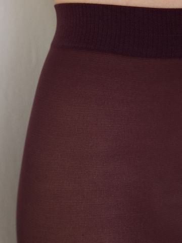 Collant 'PENTI Golden Micro 40 Strumpfhose' Penti en rouge
