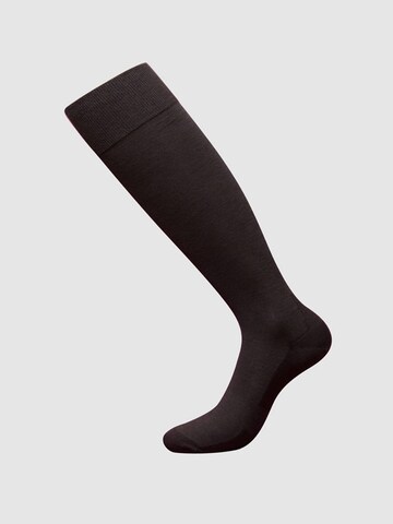 zd ZERO DEFECTS Knee High Socks 'Soy fiber knee socks' in Brown: front