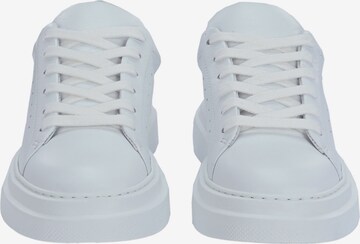 Apple of Eden Sneakers ' SAMIR ' in White