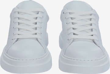 Apple of Eden Sneaker ' SAMIR ' in Weiß
