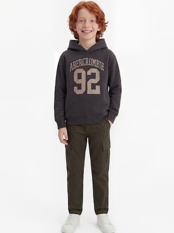 Abercrombie & Fitch - Sudadera en gris: frente