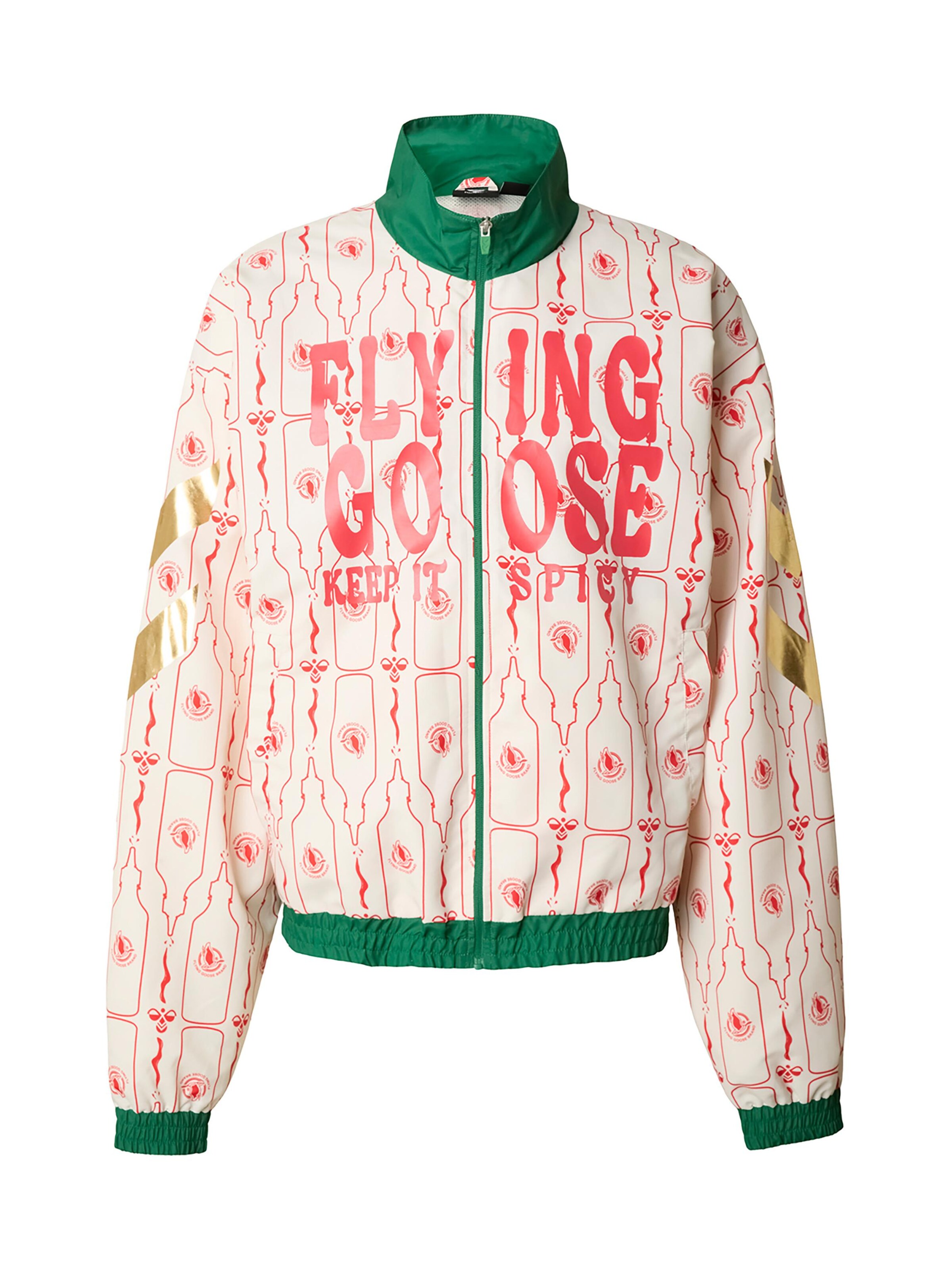 Hummel Training Jacket 'Sriracha' in Mixed colors: front