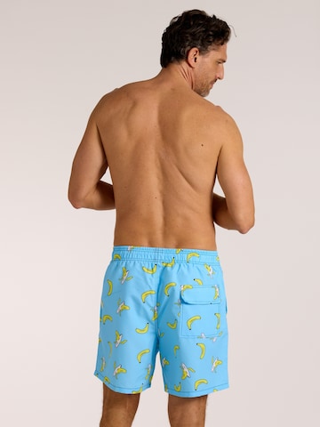 wavebreaker Board Shorts in Blue