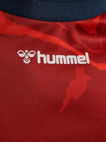 Hummel Fodboldtrøje 'SG FLENSBURG-HANDEWITT' i rød