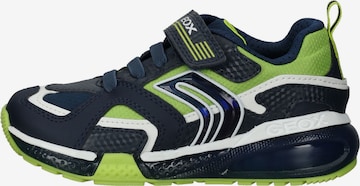 GEOX Sneakers in Blue