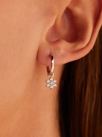 Lucardi Earrings in Silver