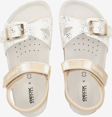 GEOX Sandalen in Wit