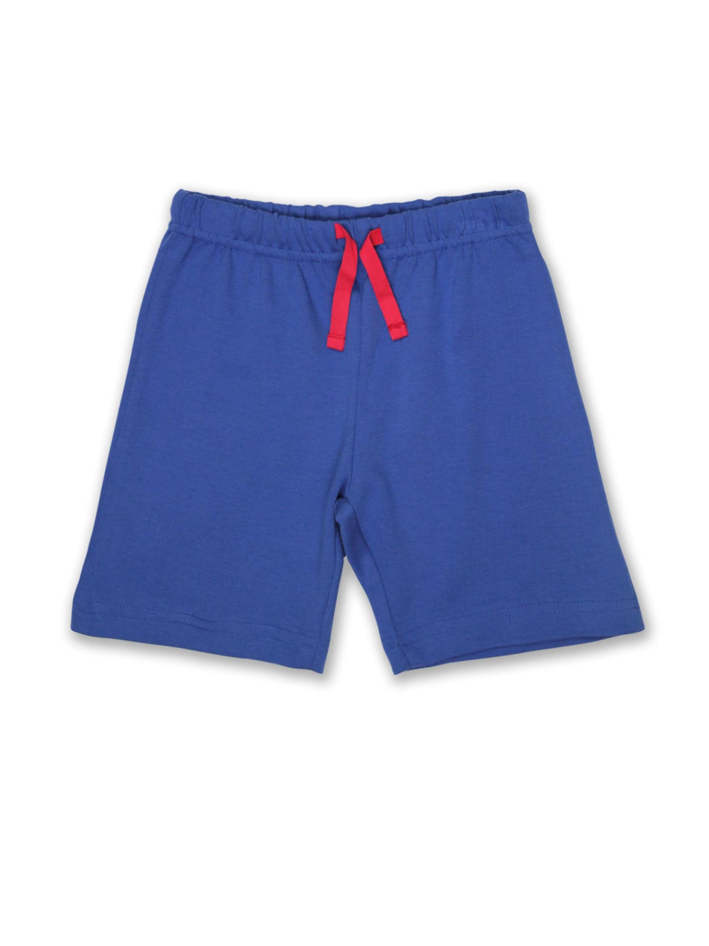 Toby Tiger Regular Pants in Blue: front